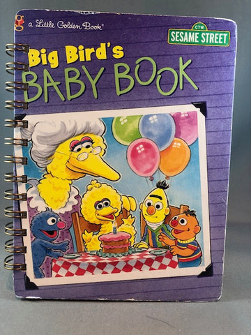 Big Bird's Baby Book