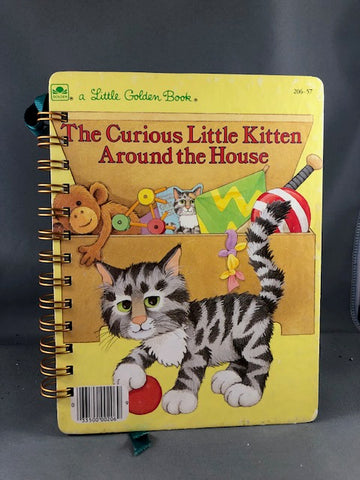 The Curious Little Kitten Around The House