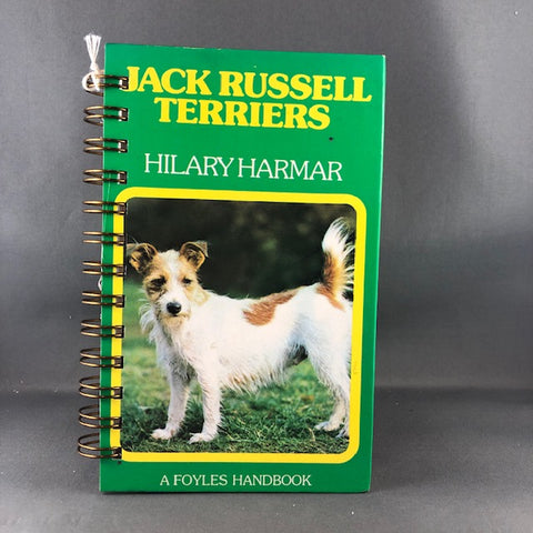 Jack Russell Terriers